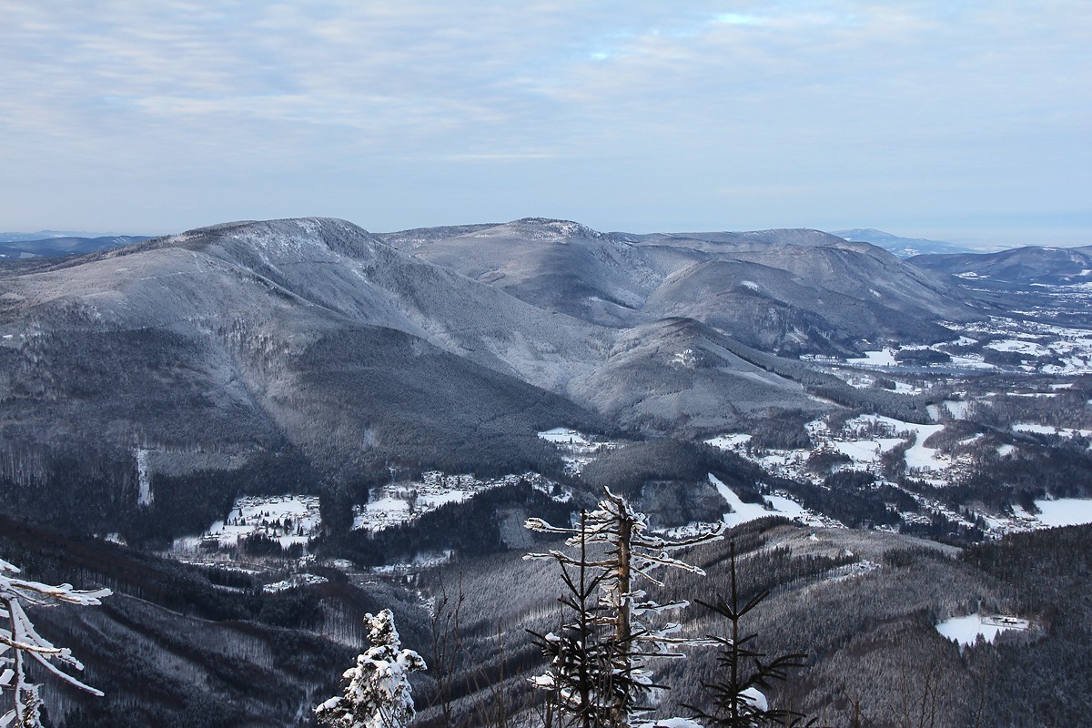 img00045.jpg