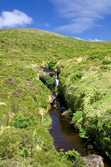 img00232.jpg