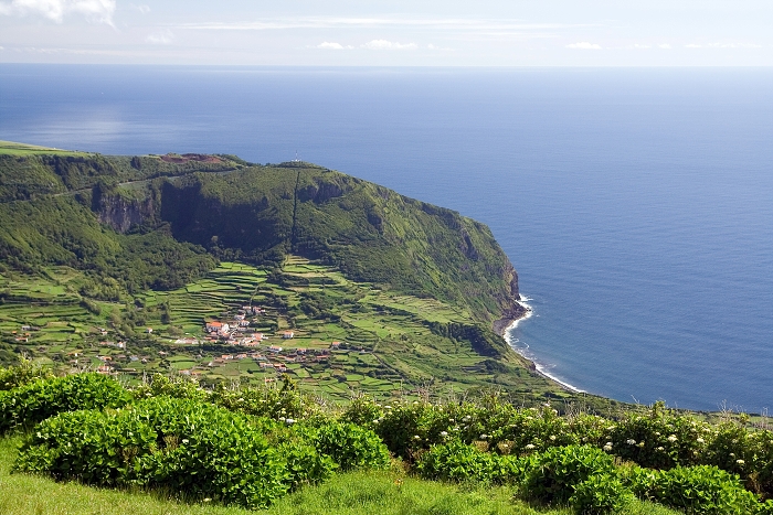 img00240.jpg