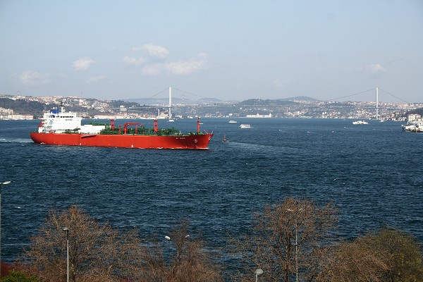 img00029.jpg
