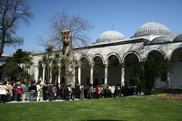 img00037.jpg