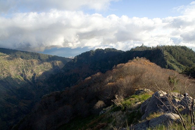 img00072.jpg