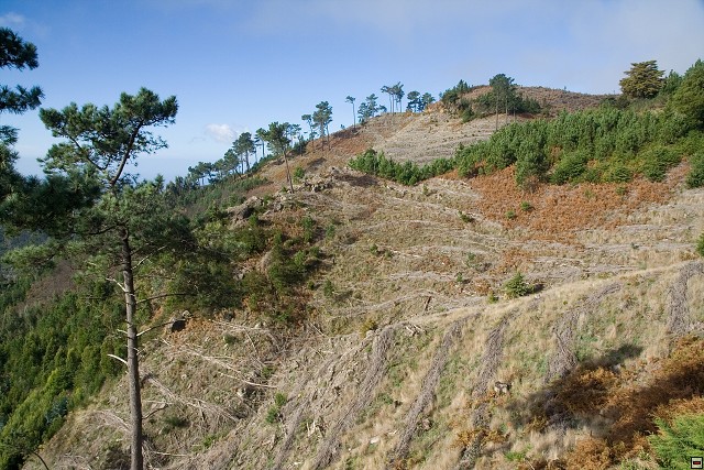 img00075.jpg